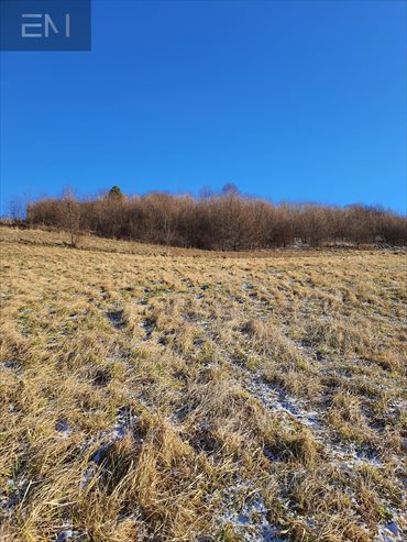 Działka budowlana na sprzedaż Żyznów 9 600m2 Foto 7