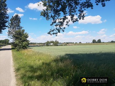 Działka rolna 1,6 ha z możliwością zabudowy w Kruszewie działka Kruszewo