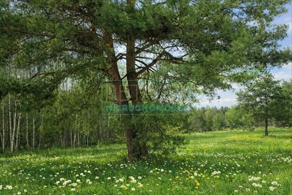 działka na sprzedaż 2000m2 działka Zalesie