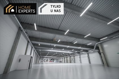 Polecam nowoczesną halę magazynową 1000 m² z dokami i monitoringiem lokal użytkowy Nowy Dwór Gdański, Żuławska