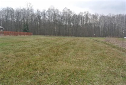 Działka budowlana na sprzedaż Mikołów, Borowa Wieś 2 256m2 Foto 3