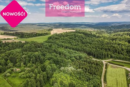 Działka rekreacyjna na sprzedaż Borownica 25 700m2 Foto 3