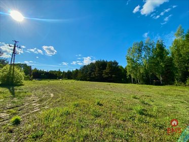 działka na sprzedaż 3794m2 działka Katrynka