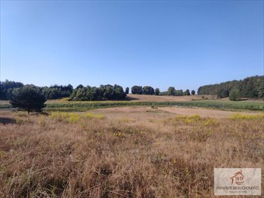 działka na sprzedaż 13000m2 działka Siemczyno, Siemczyno