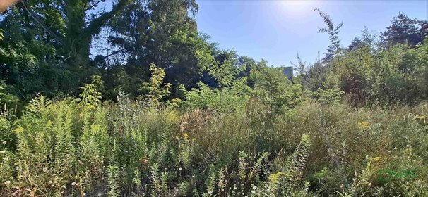 działka na sprzedaż 4780m2 działka Sosnowiec, Ogrodowa