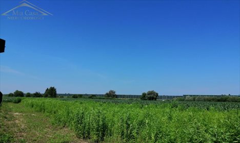 działka na sprzedaż 11300m2 działka Pruszków