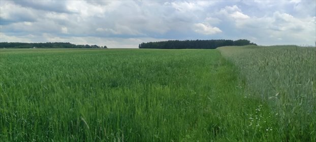 działka na sprzedaż 20000m2 działka Modzele-Bartłomieje