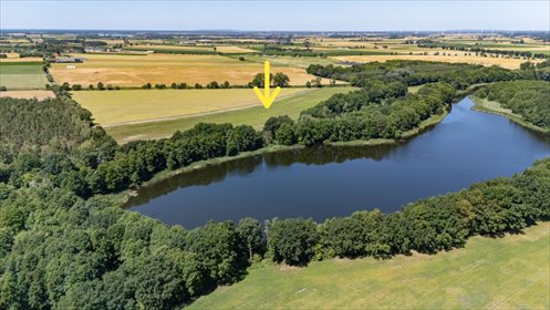Działki nad Jeziorem Grylewskim – prywatny raj natury działka Grylewo