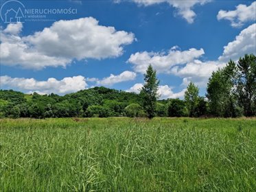 działka na sprzedaż 9500m2 działka Dąbrówka Morska
