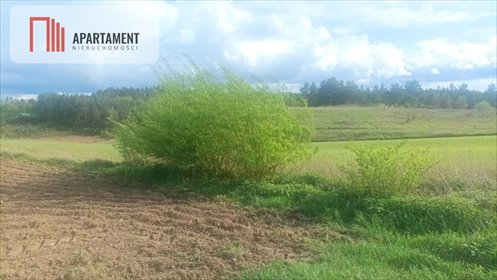 Działka 3700 m² z widokiem na las i jeziora – idealne miejsce na wypoczynek działka Teolog