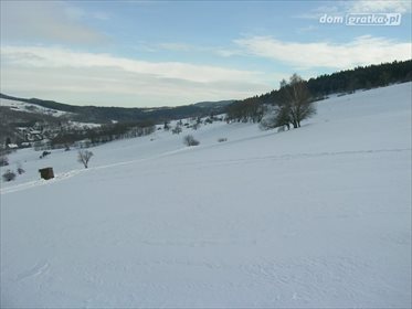 Działka rolna na sprzedaż Chrośnica 154 459m2 Foto 3