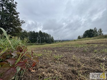 działka na sprzedaż 1262m2 działka Tuchów, Juliusza Słowackiego