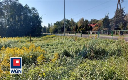 działka na sprzedaż 26420m2 działka Żarki, Myszkowska
