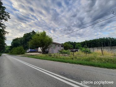 Działka budowlana na sprzedaż Bluszczów, Gorzyce 9 215m2 Foto 3