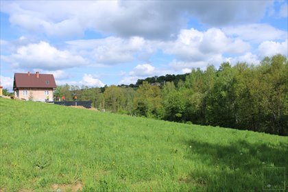 działka na sprzedaż 1500m2 działka Raciborsko