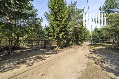 Polecam działkę z projektem domu i lasami Kampinosu działka Powązki, Jarzębinowa