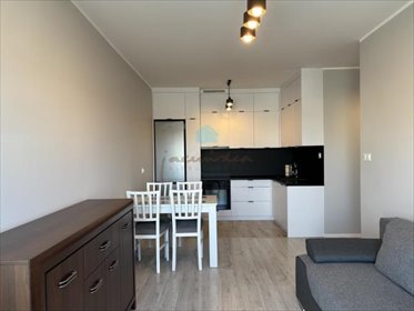 Zapraszam do wynajęcia 2-pokojowego apartamentu 43 m² w Gnieźnie mieszkanie Gniezno, Centrum, Żuławy