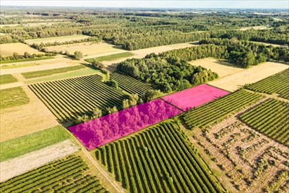 działka na sprzedaż 10547m2 działka Karnice