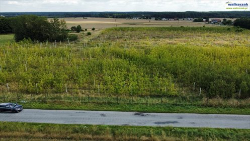 działka na sprzedaż 1104m2 działka Łazy-Dąbrowa