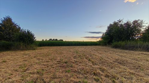 Zapraszam do zakupu działek w Marklowicach Górnych 1270 m² działka Marklowice Górne, ul. Ustronna