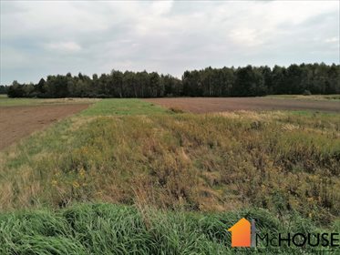 Działka budowlana na sprzedaż Grzybów, Grzybów 3 259m2 Foto 6