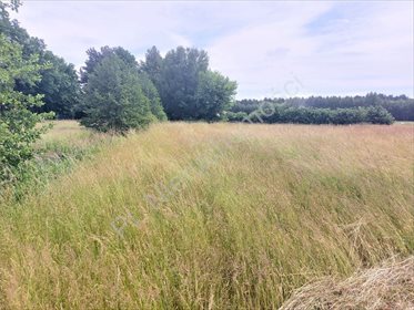 Działka budowlana na sprzedaż Zalesie 5 000m2 Foto 1