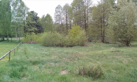 działka na sprzedaż 3768m2 działka Stefanówka, Stefanówka