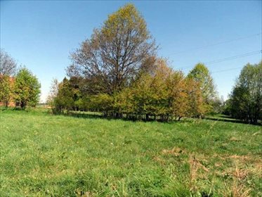Działka rolna na sprzedaż Karłowiec, okolice Świerdadowa 5 300m2 Foto 4