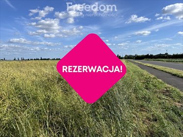 działka na sprzedaż 1260m2 działka Browina