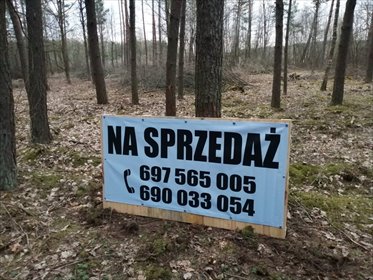 Działka 3 278 m² z dostępem do jeziora i lasu działka Błędowo