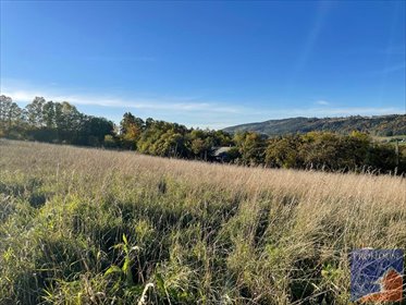 działka na sprzedaż 5000m2 działka Lipowe