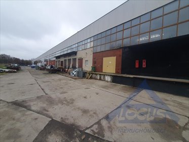 Magazyn 249m2 z rampą i ochroną w Bielanach. magazyn Warszawa, Bielany