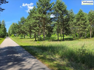 Działka 2000 m² w Ostrówie (las, rzeka Pilica, warunki zabudowy) działka Ostrów