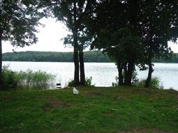 Działka rekreacyjna na sprzedaż Mrągowo, Mrągowo, Lembruk 1 000m2 Foto 2