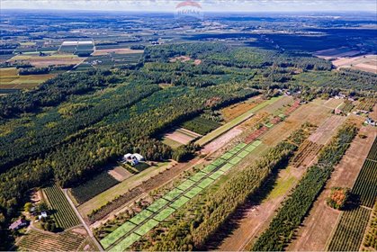 działka na sprzedaż 43066m2 działka Józefów