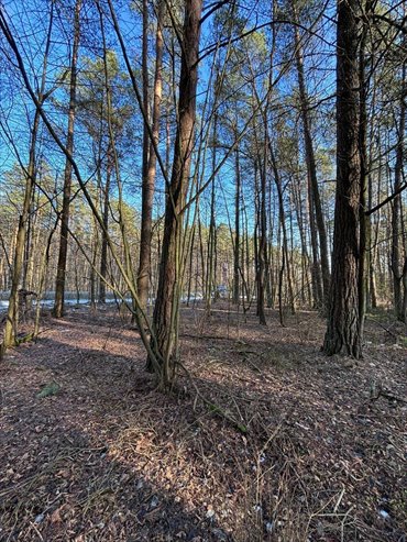 działka na sprzedaż 6600m2 działka Malinniki