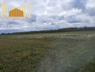Działka rolna 18 000 m² w Nowych Raciborach zapraszam działka Nowe Racibory