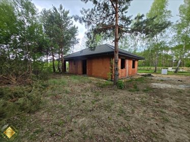 Dom w stanie surowym z dużą działką i możliwością wykończenia dom Libidza