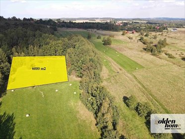 działka na sprzedaż 6000m2 działka Grudza, Grudza