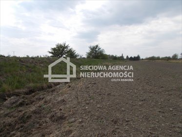 Działka rolna na sprzedaż Gdańsk, Olszynka 8 598m2 Foto 7