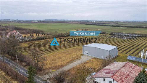 lokal użytkowy na sprzedaż 369m2 lokal użytkowy Miłobądz
