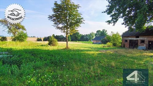 Sprzedam działkę 9700 m² z kontraktem budowlanym w Zaborowie działka Zaborów, Zaborów