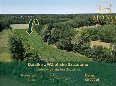 Działka 44 ar w otoczeniu natury z WZ, Dąbrowica działka Dąbrowica