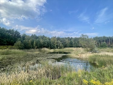 działka na sprzedaż 3684m2 działka Świętochów