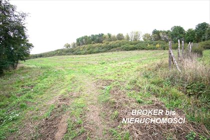 Działka siedliskowa 6400 m² w Górkach (blisko Wartę) działka Górki