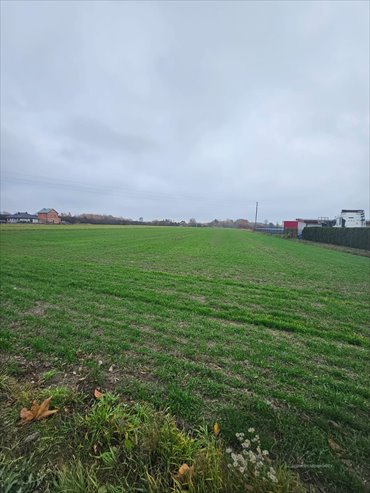 działka na sprzedaż 11500m2 działka Kąty