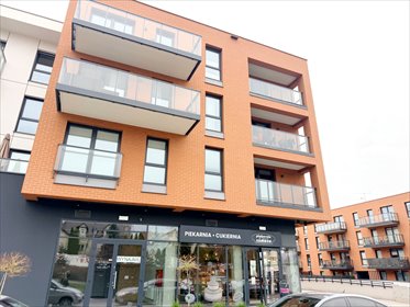 lokal użytkowy na wynajem 80m2 lokal użytkowy Rotmanka, Bajki