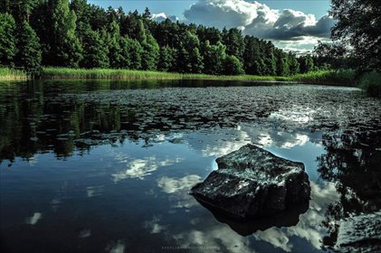 działka na sprzedaż Byszyno 190000 m2