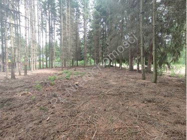 Działka 1577 m² z lasem i mediami, blisko Grodziska działka Radonie