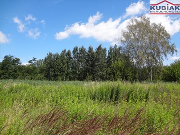 działka na sprzedaż 1670m2 działka Pruszków, Żbików